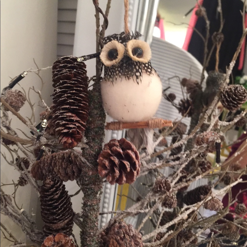 Meet your Posher, Julie